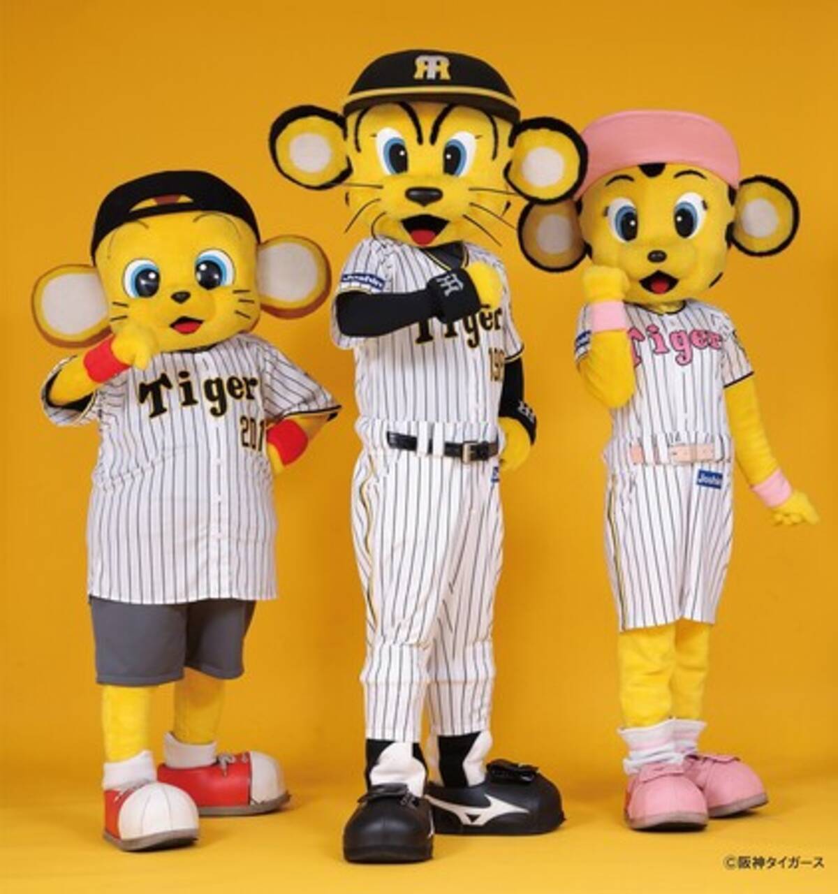 タイガー様 リクエスト 2点 まとめ商品 ティガー様 リクエスト 2点 まとめ商品 tiger様 タイガース様 リクエスト 2点 まとめ商品