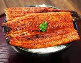 「豊漁のため国産うなぎ相場が下落！豊洲市場ドットコムで「特大うなぎ蒲焼」を特別価格で販売開始します。」の画像1