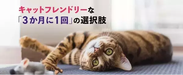 2月22日は猫の日！猫オーナー1000名に実態調査 3人に1人が「愛猫が知らない間に体調不良」経験あり 愛猫の通院頻度「年に1回以下」が65%