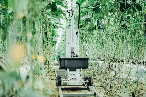 スマホが農家の最強パートナーに！生産、選果、販売をデータ化するFaaS（Farming as a Service）のUI/UXデザインを公開