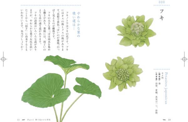 誰かに話したくなる 植物たちの小さなストーリー 花と草の物語手帳 105の花言葉とエピソード 発売 2 17発売 22年2月16日 エキサイトニュース