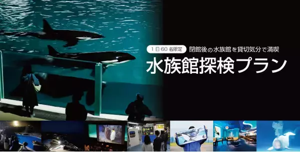 【鴨川シーワールド】1日限定60名『水族館探検プラン』開催