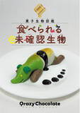 「【新刊情報】YouTube登録者63万人、総再生数５億回越え！の人気コンテンツ、Qrazy Chocolate・クレイジーチョコレートが図鑑になった！『菓子生物図鑑　食べられる未確認生物』発売！」の画像1