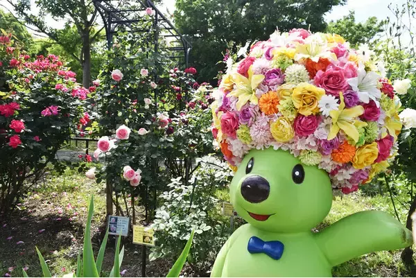 【入園無料】横浜市港南区の公園で、市民と一緒に増やした「春バラ」がまもなく見頃「手づくりバラ園フェスティバル」2025年4月29日（火）～5月11日（日）開催（横浜市日野中央公園）