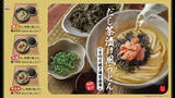 「お茶漬けは、米から“うどん”へ。有明産焼き海苔が主役。だしで味わう、新感覚「だし茶漬け風うどん」3種を新発売！」の画像1