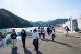 「イセエビの水揚げ額が20年で2倍以上?! 日和佐町漁協が未来につなぐ新しい漁業のかたち」の画像2