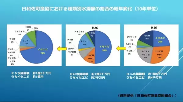 「イセエビの水揚げ額が20年で2倍以上?! 日和佐町漁協が未来につなぐ新しい漁業のかたち」の画像