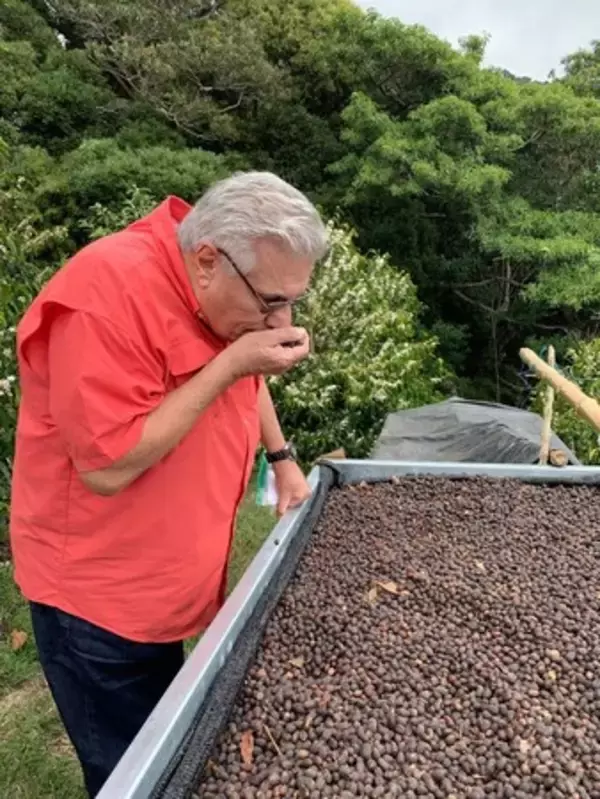 数量限定「パナマゲイシャ アルティエリ W」販売中