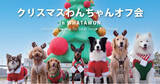 「開催迫る！愛犬と行けるクリスマス！小型犬・大型犬別で楽しめるWHATAWONドッグラン【大阪】」の画像1