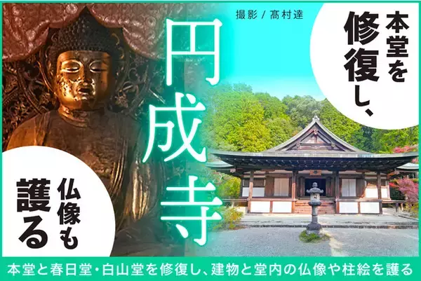 「奈良の古刹・円成寺の本堂（重要文化財）に雨漏り。本堂と春日堂・白山堂（国宝）を修復するためのクラウドファンディングを開始。」の画像