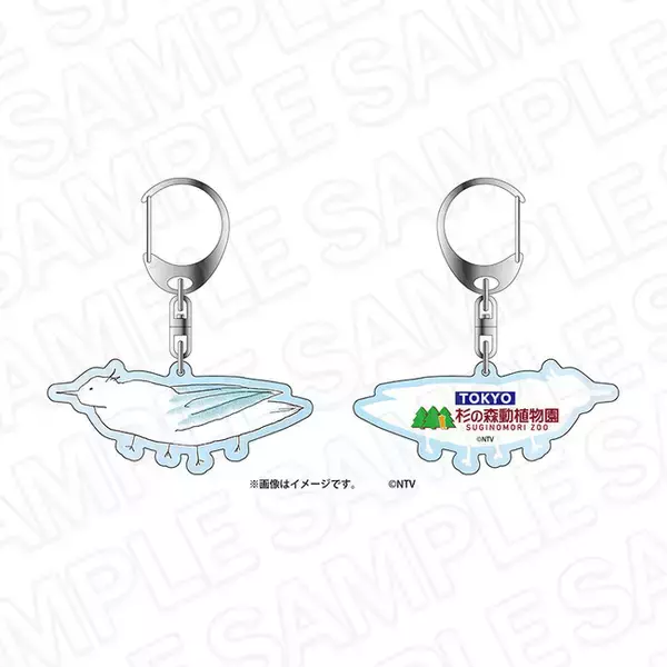 「ぼくたちん家」より新商品が発売！