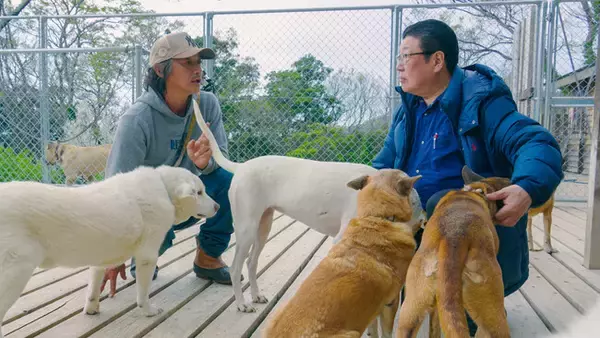 濱友株式会社が保護犬・保護猫「推し活」アプリでシェルター支援活動を開始