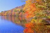 「【北海道・弟子屈町】駆け抜けるだけではもったいない！紅葉に包まれる弟子屈（てしかが）の自然を満喫するアクティビティ」の画像1