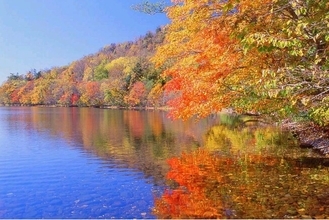 【北海道・弟子屈町】駆け抜けるだけではもったいない！紅葉に包まれる弟子屈（てしかが）の自然を満喫するアクティビティ