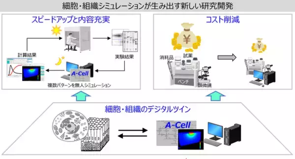 ”創薬、化粧品、食品研究開発の効率化”を生み出す「細胞シミュレーションの有効性とA-Cell」ウェビナー開催