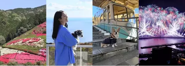 【熱海市】しだれ桜にバラ、つつじ、温泉、花火、愛犬旅も。2026年4月の熱海旅おすすめ情報
