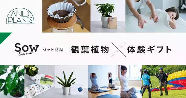 アンドプランツの「観葉植物」とソウ・エクスペリエンスの「体験ギフト」がセットになった新商品を8月5日（月）より発売！