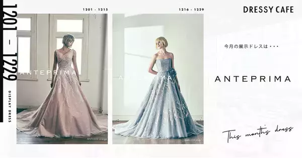 【DRESSY CAFE NAGOYA】12月のディスプレイドレスは「ANTEPRIMA」のウェディングドレスを期間限定でお届けいたします。