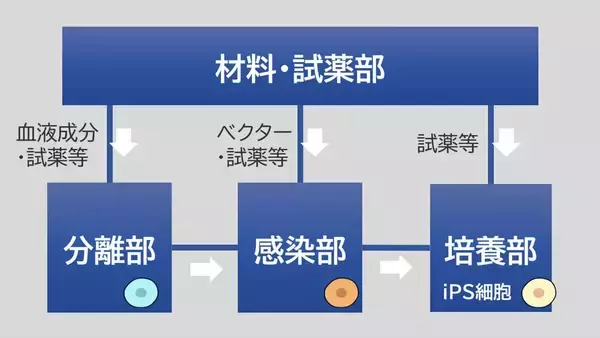 「iPS細胞樹立工程の自動化で、再生医療をより身近なものに―― 一人ひとりに適した治療の実現へ」の画像