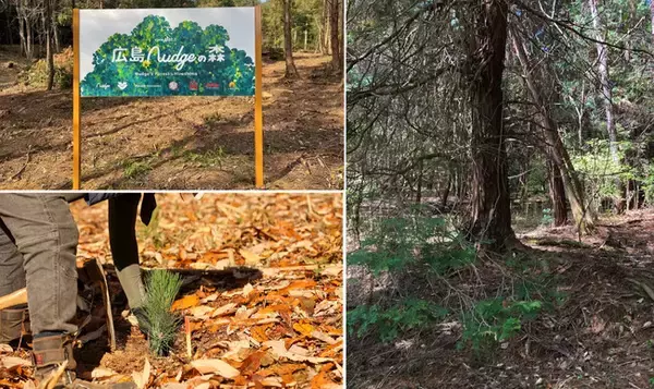 ナッジカード、「広島Nudgeの森」植樹活動を東広島市入野財産区にて11月23日（祝）に実施決定