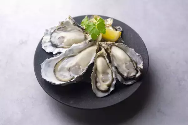 日本最大級のオイスターバーチェーンのゼネラル・オイスター『8TH SEA OYSTER Kitchen』11月4日(火)オープン