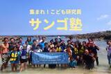 「【集まれ！こども研究員】「サンゴ塾」レクチャーコース生を募集中」の画像1