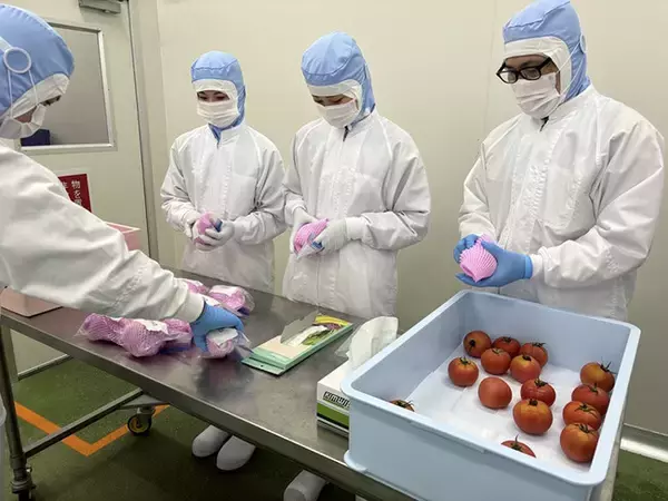 国際宇宙ステーション(ISS)で食する青果物の除菌・梱包を実施