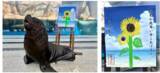 「【仙台うみの杜水族館】青空の台紙に大輪のヒマワリ　オタリアのチェンが飼育員と共に残暑お見舞いをお届け！『オタリアの残暑お見舞い』」の画像1