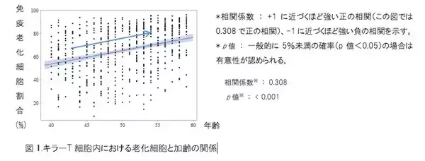 加齢に伴う免疫老化細胞※１（SA-βGal※2高発現細胞）の増加が免疫機能低下に関与することを日本人で初めて実証