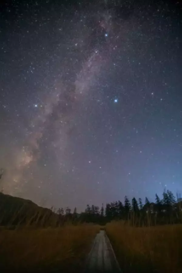 2024年8月3日(土)より "ニセコアンヌプリ星空ピクニック" を開催いたします！