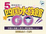 「四国水族館開業５周年　棘皮動物にスポットを当てた企画展『５周年記念！四国水族館GO！』開催中」の画像1