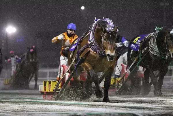 【ホテル日航ノースランド帯広】「第58回農林水産大臣賞典ばんえい記念」の開催を記念した「ばんえい記念宿泊プラン」を2月26日より販売開始