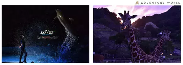 ３月２８日（月）よりゴールデンウィーク期間の入園チケット販売開始！