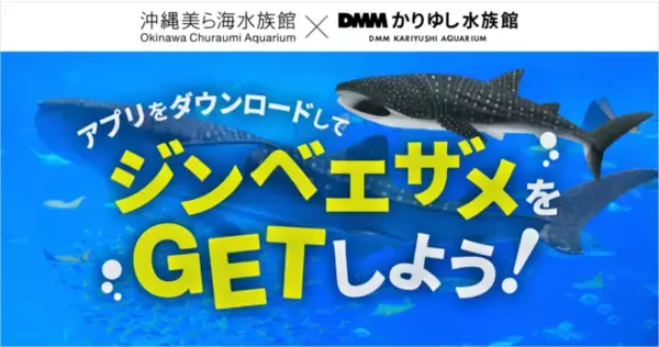 【DMMかりゆし水族館】沖縄美ら海水族館とのコラボキャンペーンをGW期間に再開催！