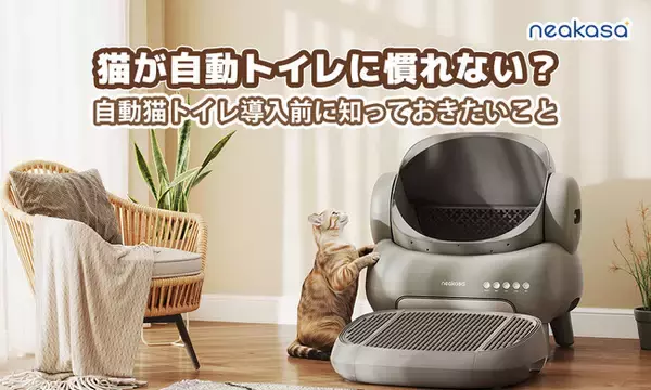 「初めての全自動猫トイレ、どうやって慣れさせる？Neakasaが教える3つのステップ～8周年記念キャンペーン開催中！30%OFFで賢くGET～」の画像
