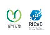 「【山口大学】最新のがん免疫療法CAR-T細胞の技術改良に向けた共同研究を開始　～国立大学法人山口大学×株式会社日立製作所～」の画像1
