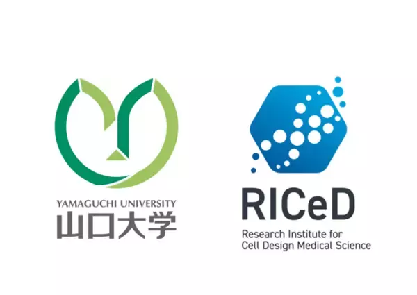 【山口大学】最新のがん免疫療法CAR-T細胞の技術改良に向けた共同研究を開始　～国立大学法人山口大学×株式会社日立製作所～
