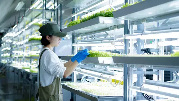 「未来の農業を切り開く。オーティーエム・カルチベーションラボラトリー」の画像