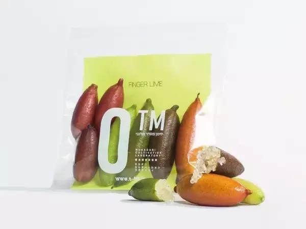 「未来の農業を切り開く。オーティーエム・カルチベーションラボラトリー」の画像