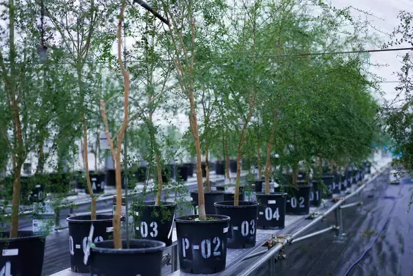 「未来の農業を切り開く。オーティーエム・カルチベーションラボラトリー」の画像