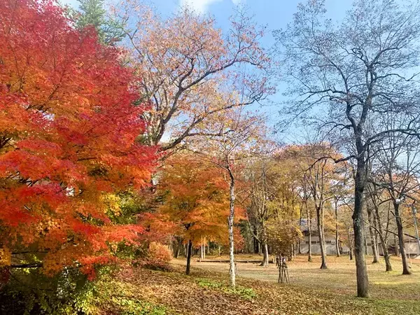 快適な「車中泊」で旅の選択肢を広げるRVパーク、行楽シーズン前に各地でオープン！子どもやペットとも楽しめる「RVパーク・ラボランドくろひめ」など9施設