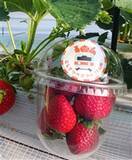 「「にしてつベジフルTRAIN」の取り組みを開始します」の画像1