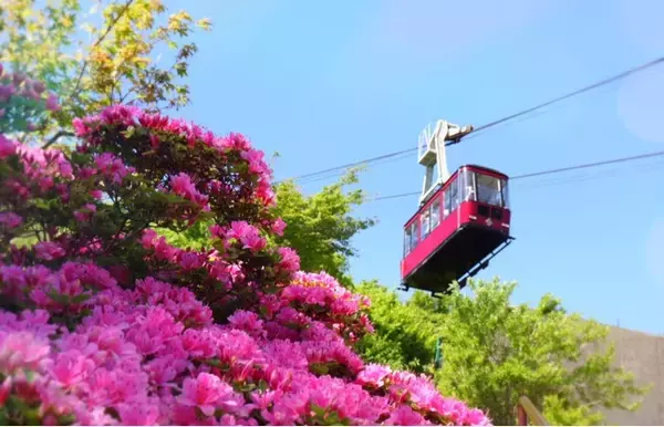 【ミシュラン1キー】長崎・雲仙温泉 旅亭 半水盧　春から初夏を彩る「ミヤマキリシマ」の生命力に満ちた自然美と、心と体を解き放つ至福の滞在を