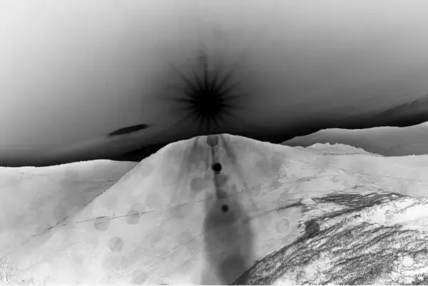 「吉田志穂個展「印刷と幽霊」」の画像