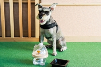愛犬の"飲み水"にもこだわる新サービス　犬用浄軟水器を全客室に導入～くにさき 森と海のドッグリゾート～
