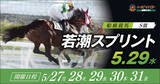 「船橋ケイバ 第３回開催〔５月２７日（月）～５月３１日（金）〕第３回は「若潮スプリント (ＳIII）」〔５月２9日（水）〕が開催！」の画像1