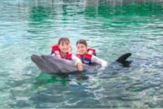 【SDGsアドベンチャー】沖縄でイルカと遊び、いきものとふれあい、自然を学ぶ感動体験