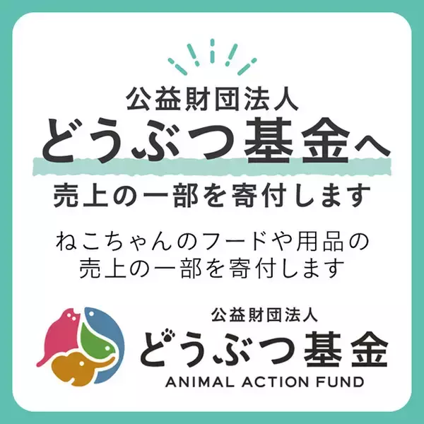 「カインズ にゃん祭り2026」寄付活動1月24日（土）から開始