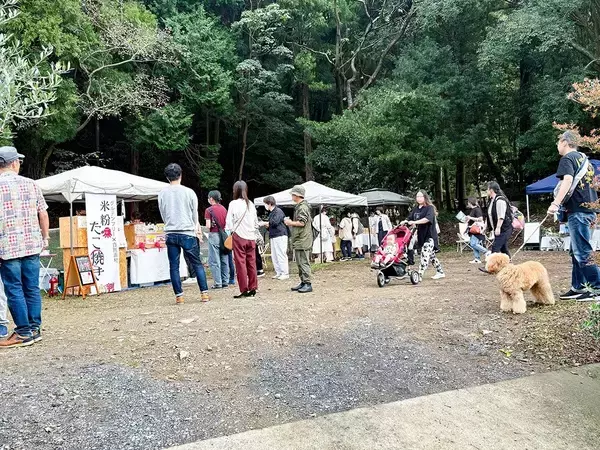 「観光資源の全くない田舎に、県内外から人がやってくる。　「森のカフェと緑のマルシェ」が昨年に引き続き、2回目も大盛況だった理由。」の画像