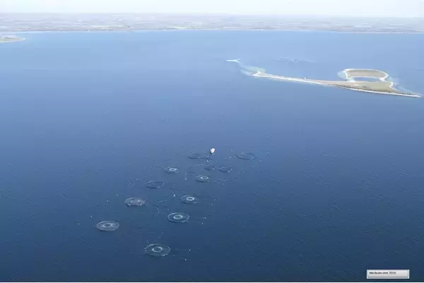 弊社デンマーク子会社が、Science Based Targets Network (SBTN)が策定した養殖・水産業に関する環境保全基準の策定・完成に、パイロット企業として寄与しました